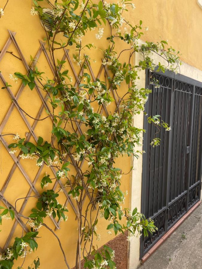 B&B Mela Roggiano Gravina Zewnętrze zdjęcie